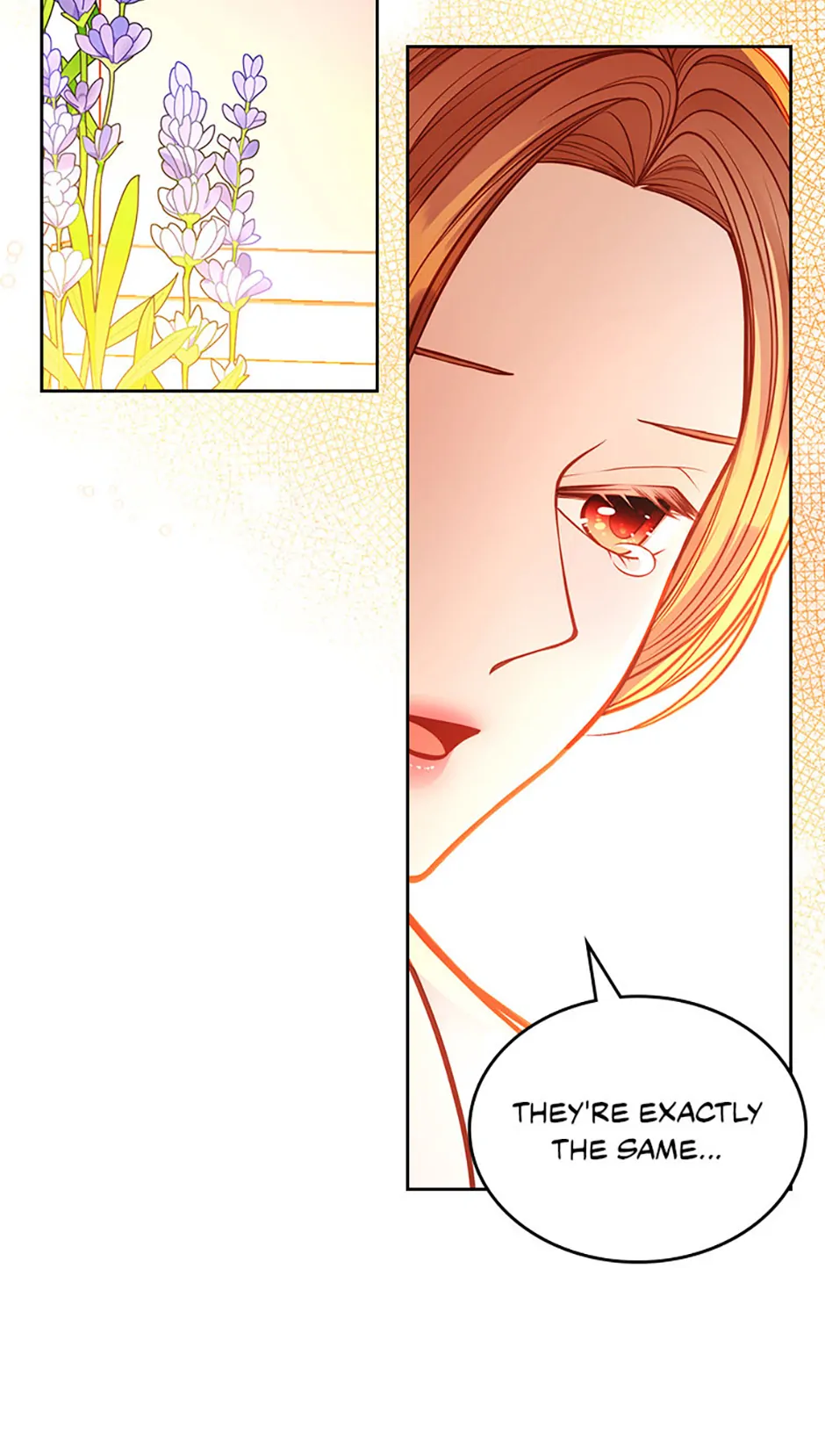 The Duchess’s Secret Dressing Room Chapter 125 420 077