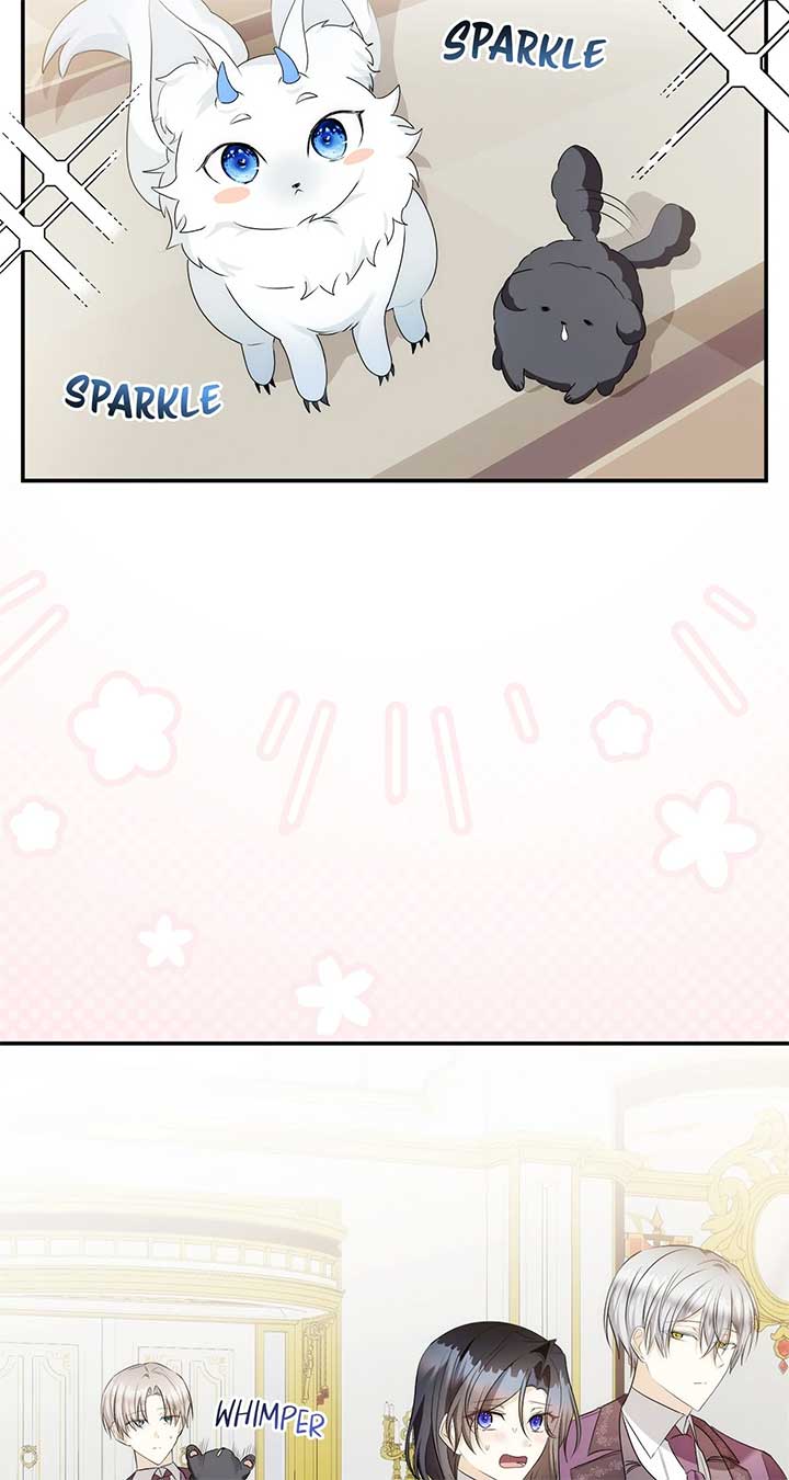 The Duke And Duchess Divorce Circumstances Chapter 43 285 ch 43 26