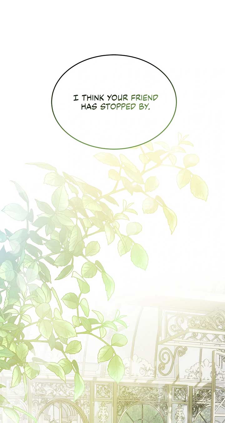 The Duke And Duchess Divorce Circumstances Chapter 43 324 ch 43 65