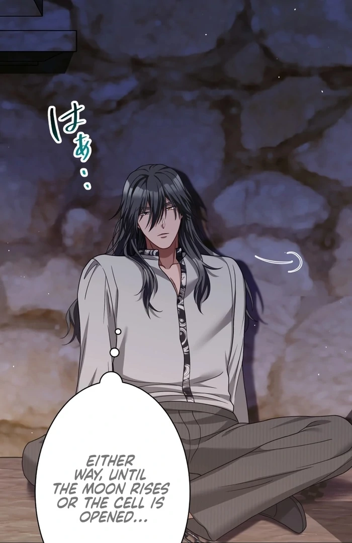 The DUKE who fell into darkness dotes on The VILLAINESS Chapter 33 301 24