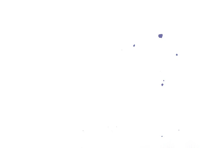 The DUKE who fell into darkness dotes on The VILLAINESS Chapter 44 316 12