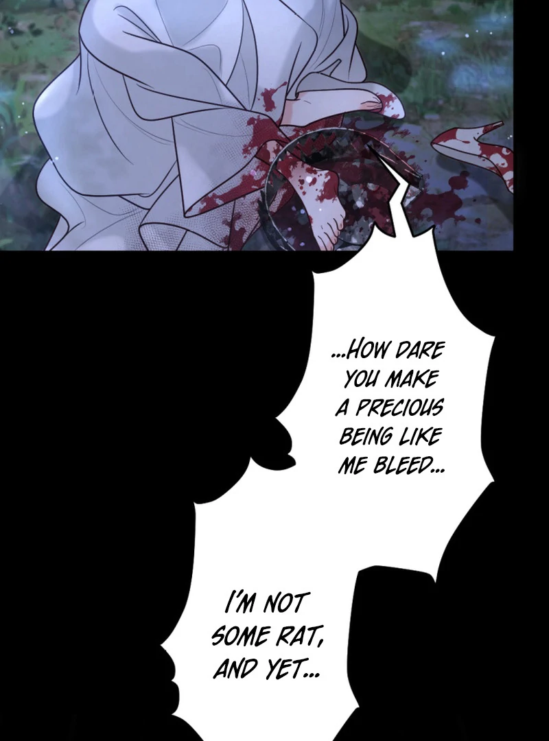 The Duke’s Daughter Will Not Forgive Anymore Chapter 39 260 ch 39 49