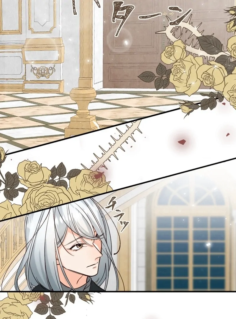 The Duke’s Daughter Will Not Forgive Anymore Chapter 9 282 ch 9 32