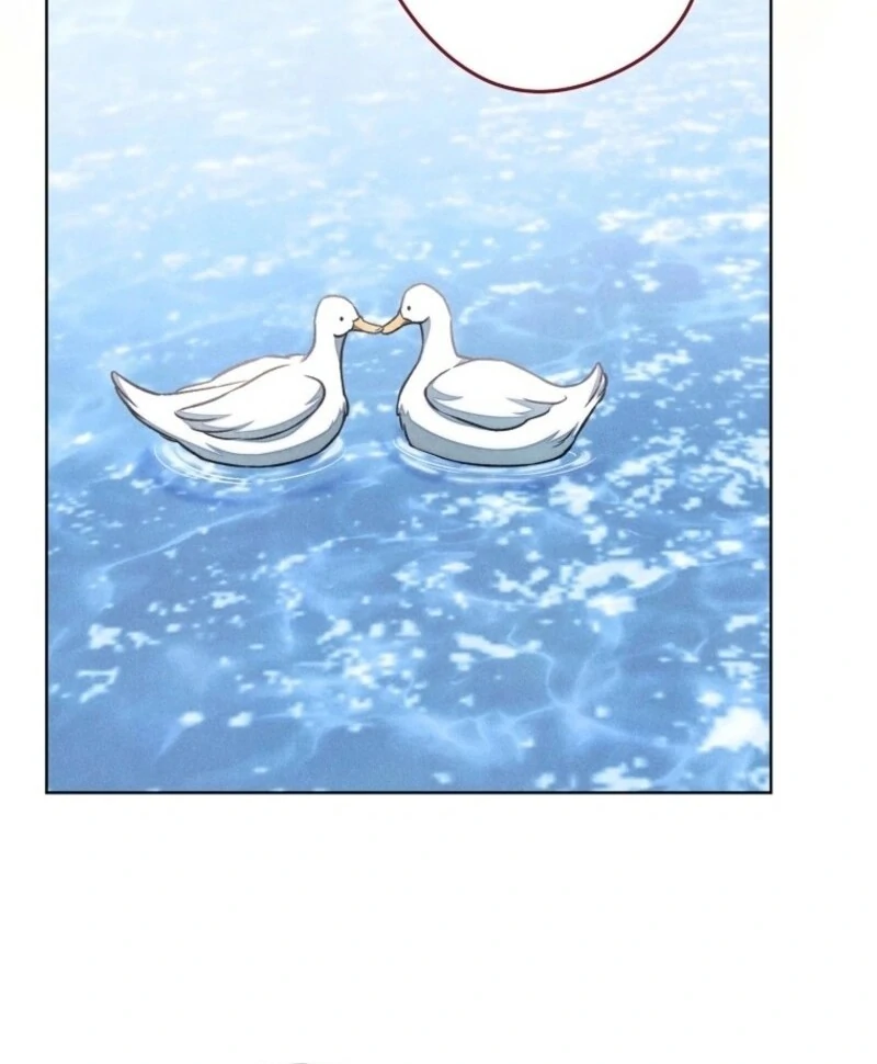 The Duke’s Obsession with His Wife Chapter 37 455 ch 37 91