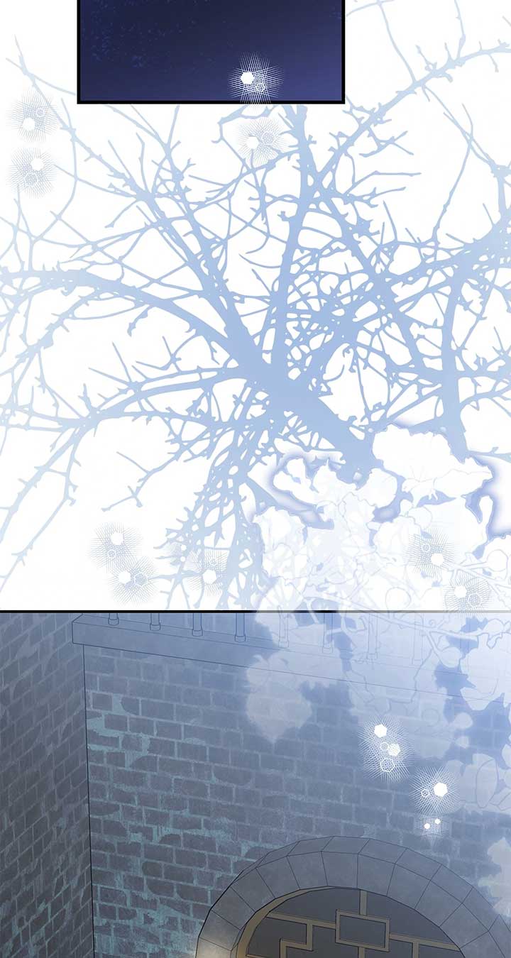 The Empress Wants To Avoid the Emperor Chapter 74 337 005