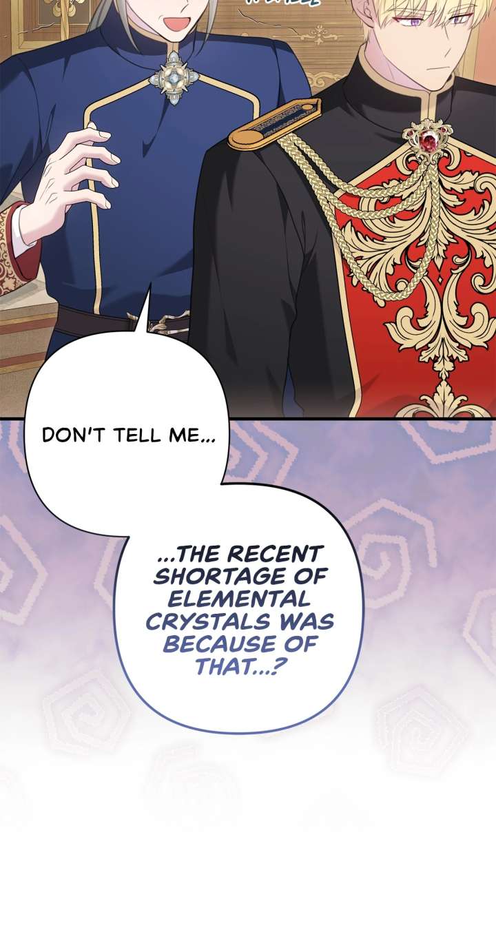 The Empress Wants To Avoid the Emperor Chapter 96 355 033