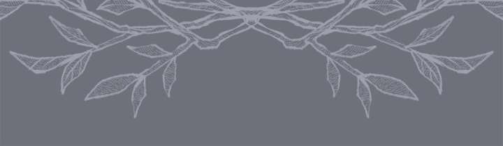 The Empress Wants To Avoid the Emperor Chapter 96 418 096