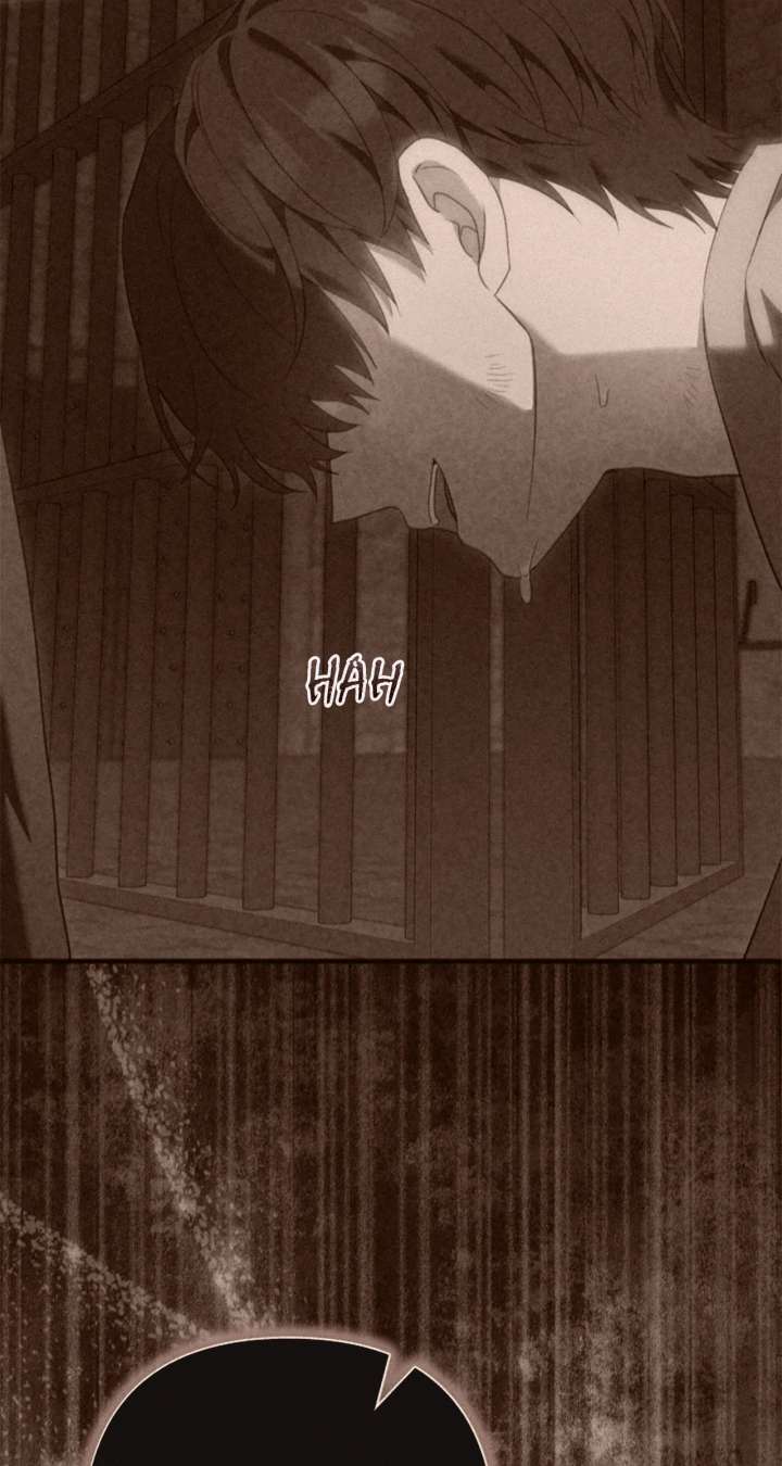 The Empress Wants To Avoid the Emperor Chapter 97 361 012