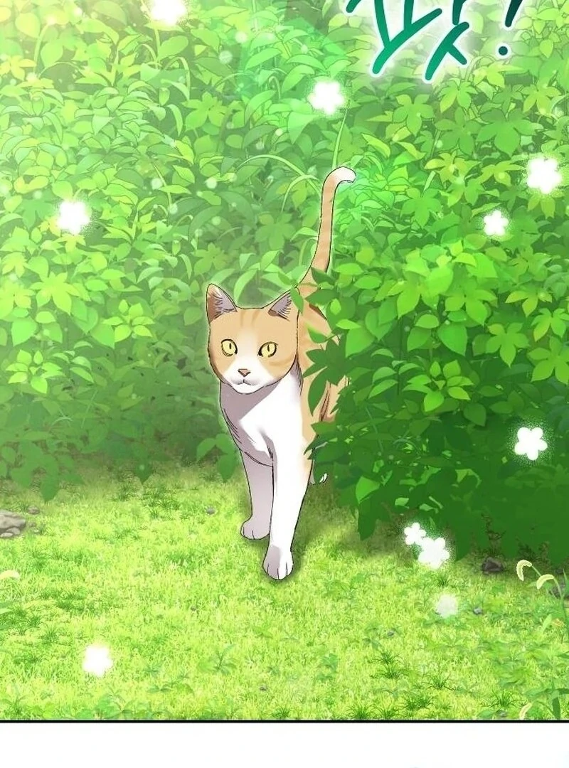 the empresss time reversed abducted marriage Chapter 40 522 113