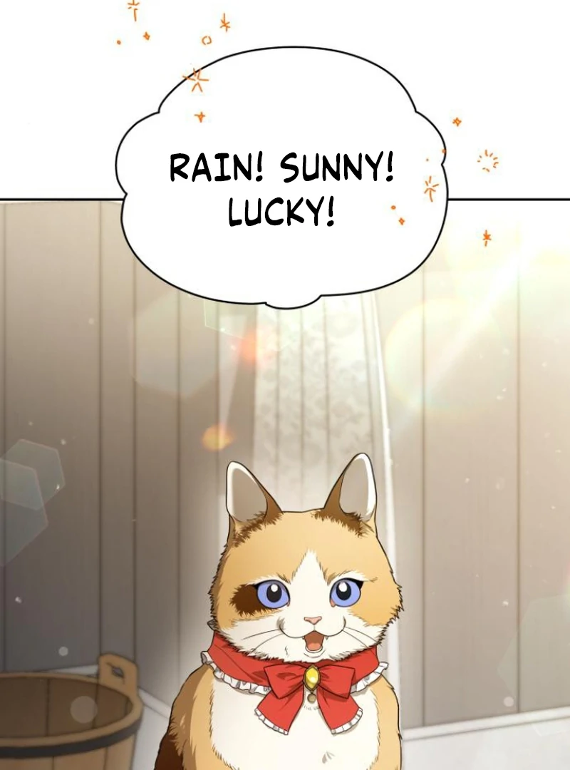 The End of a Fake Marriage Chapter 2 587 ch 2 130