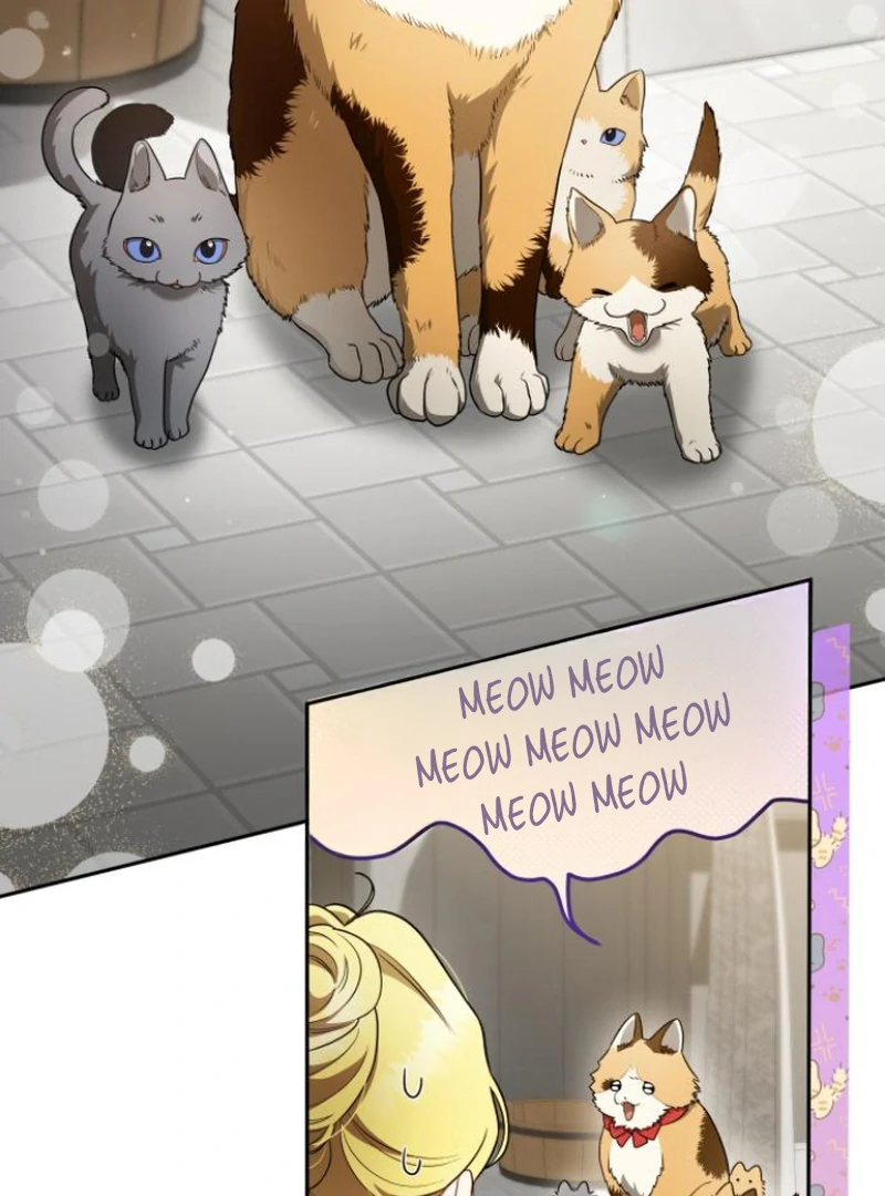 The End of a Fake Marriage Chapter 2 588 ch 2 131