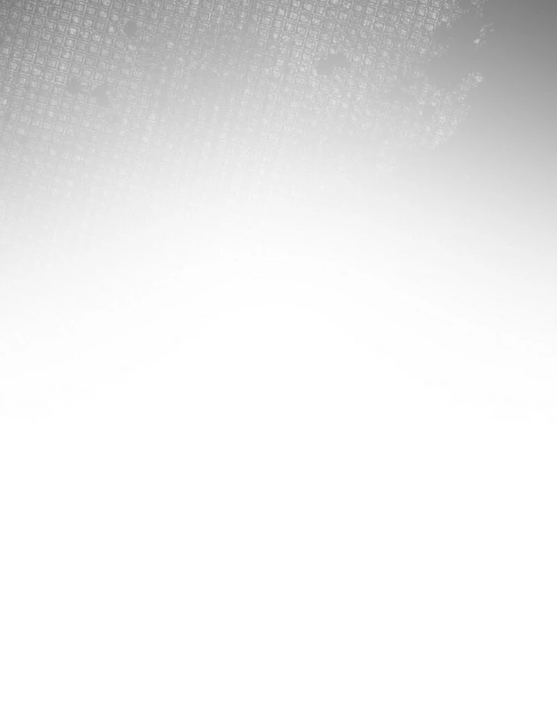 The Extra Decided to Be Fake Chapter 41.1 417 041