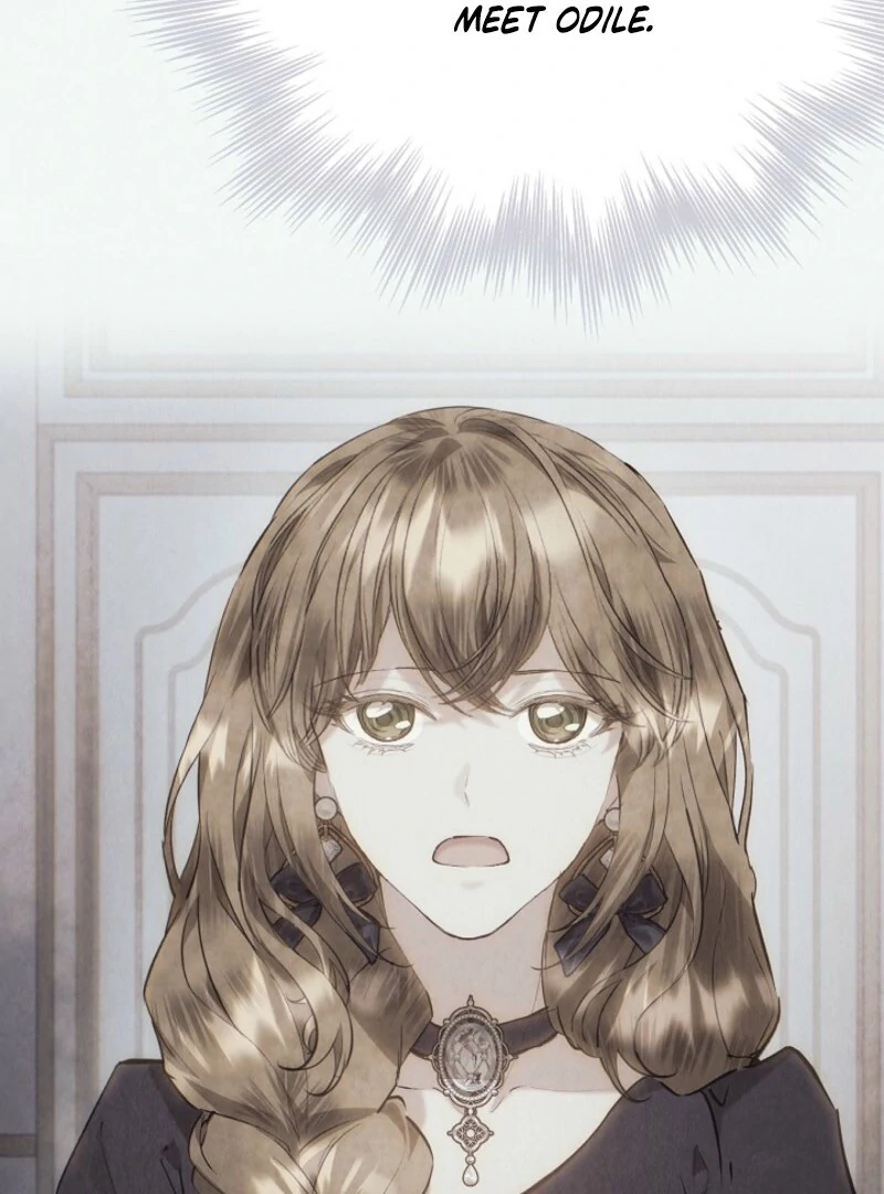 The Extra Decided to Be Fake Chapter 41.1 485 109