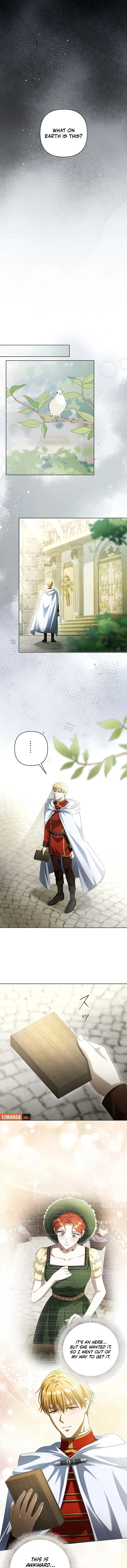 The Fake Bride Can’t Escape Chapter 17 61 ch 17 12