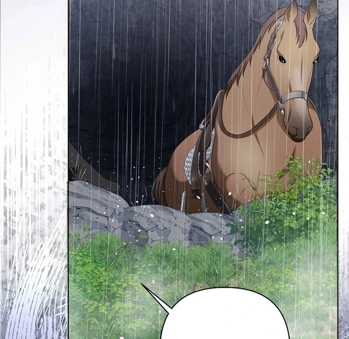 The Fake Bride Can’t Escape Chapter 50 446 103