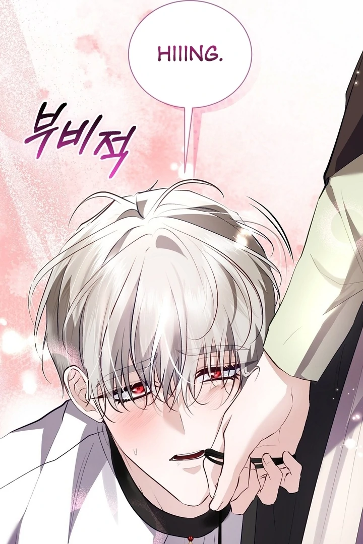 The Fake Saint of a Reverse Harem Game Chapter 19 351 014