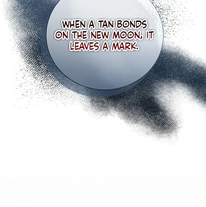 The Fake Saint of a Reverse Harem Game Chapter 28 409 027