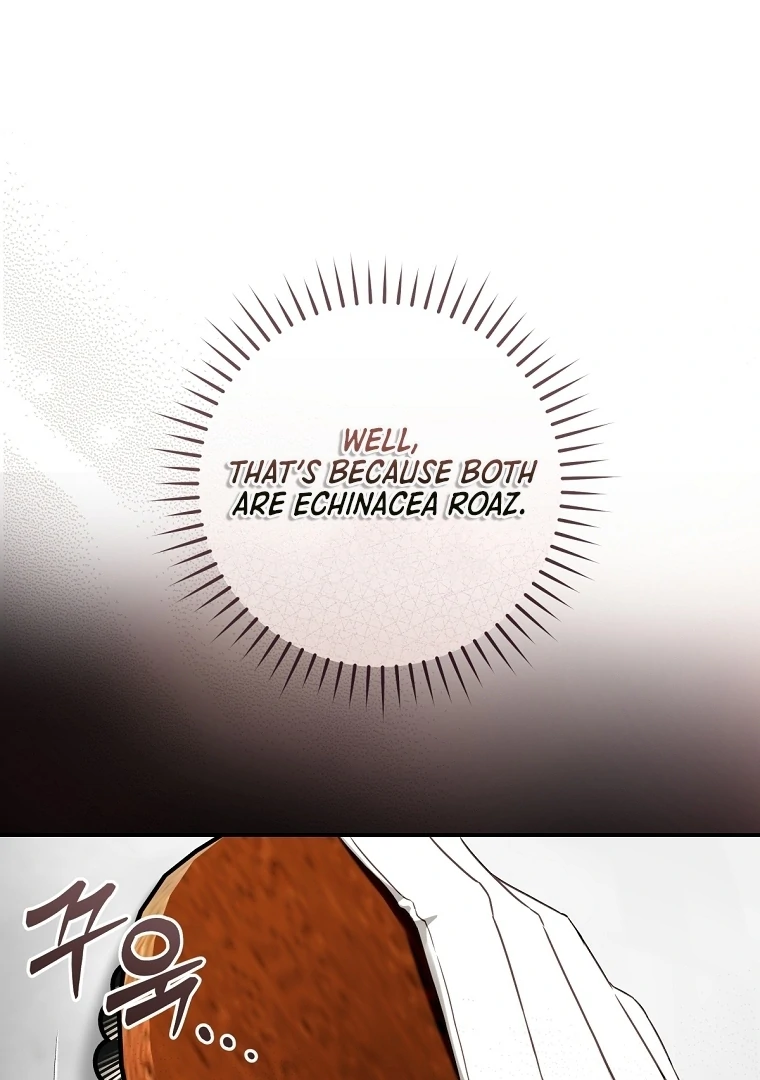 The Flower Who Bears The Sword Chapter 12 385 ch 12 36