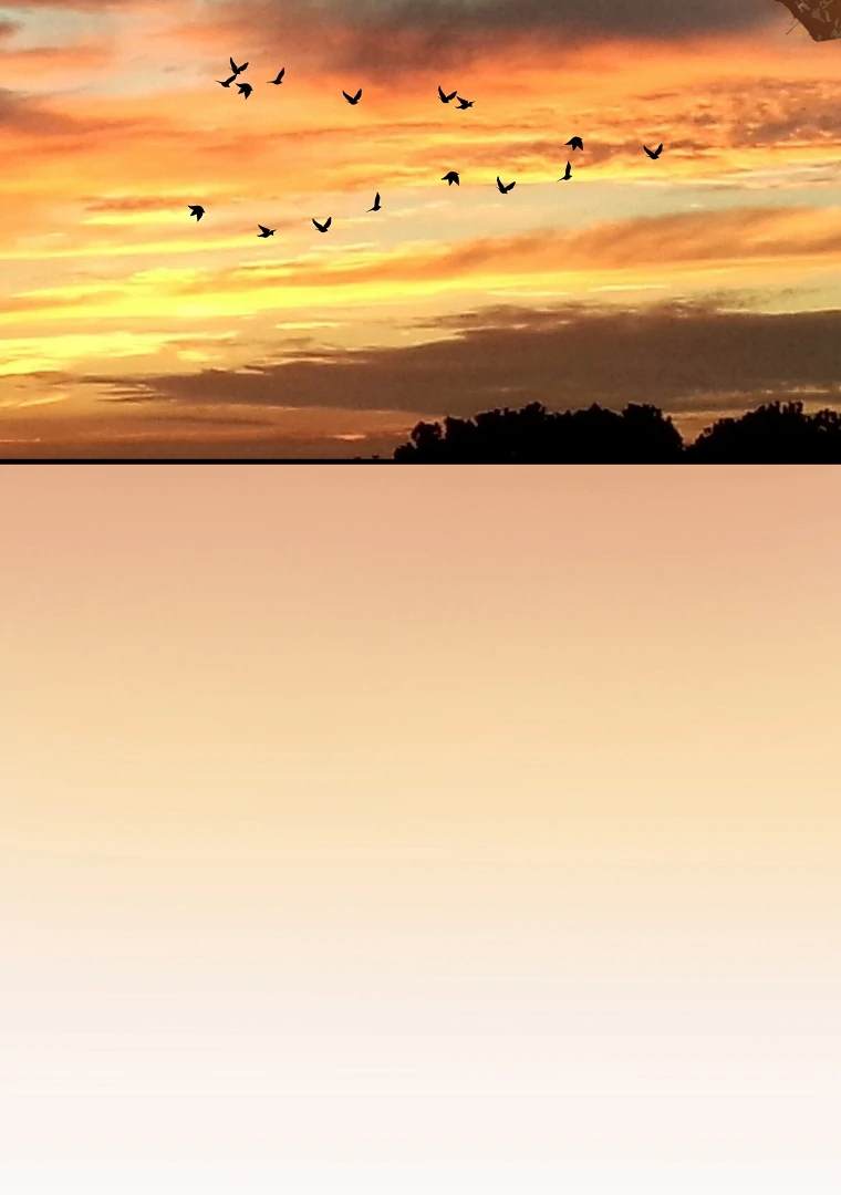 The Flower Who Bears The Sword Chapter 18 371 ch 18 16