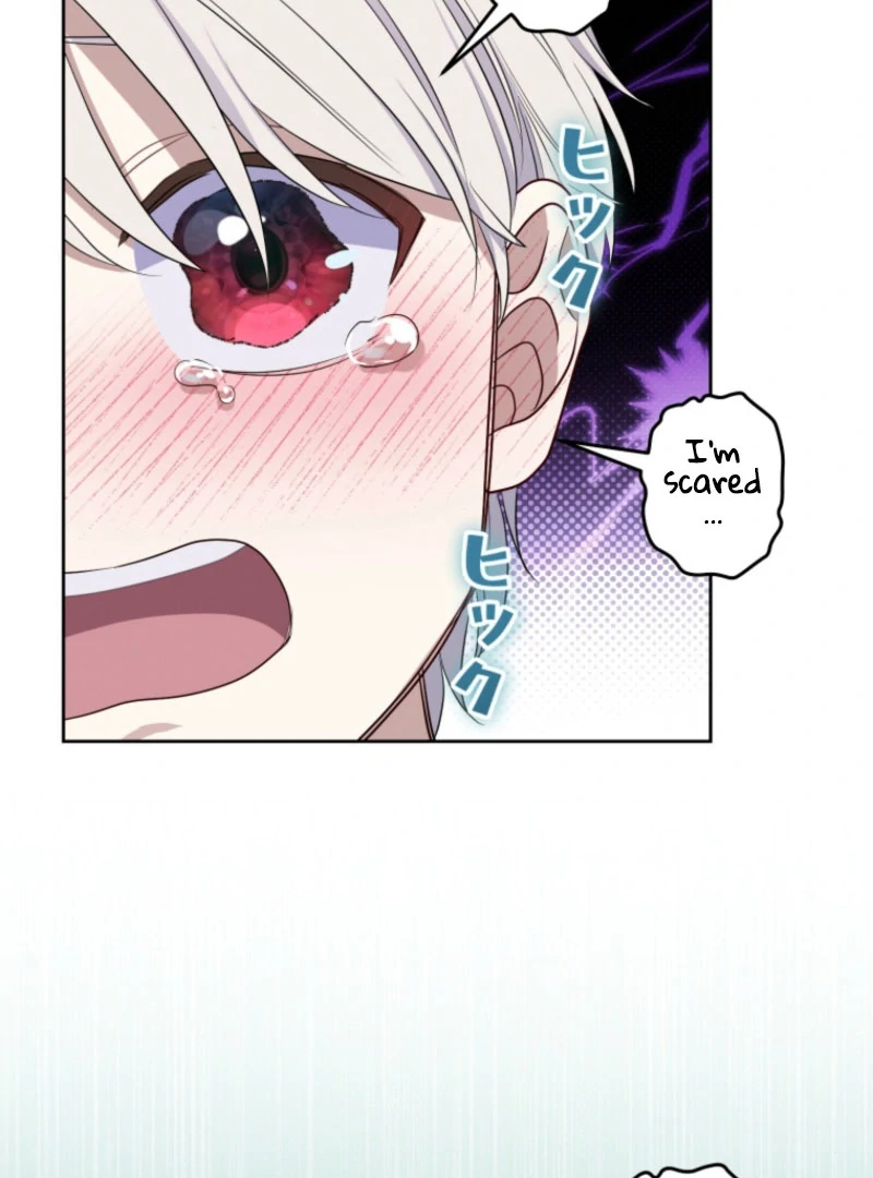 The Grim Reaper Duke’s Obsessive Contract Mother Chapter 33 243 29