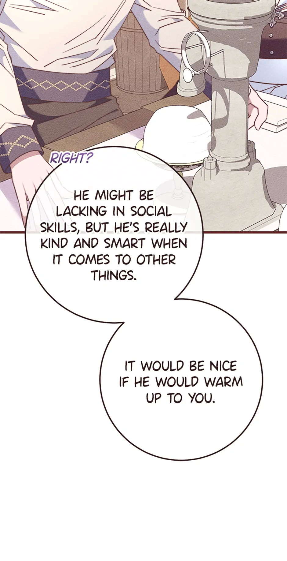 The Guidebook for Villainesses Chapter 35 361 048