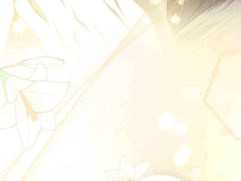 The Guidebook for Villainesses Chapter 63 488 058