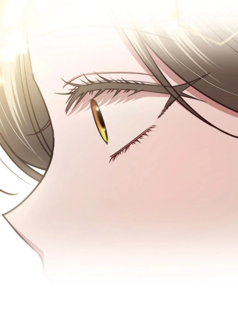 The Guidebook for Villainesses Chapter 63 490 060