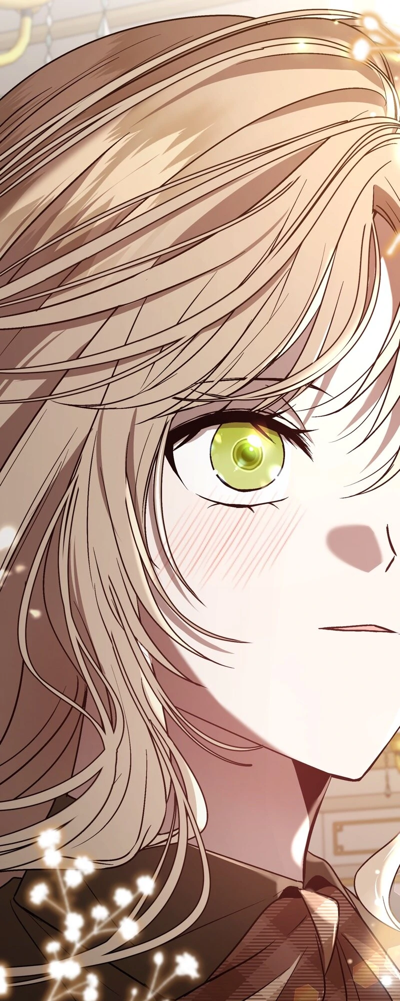 The Handmaiden Dreams at Sunset Chapter 64 269 61