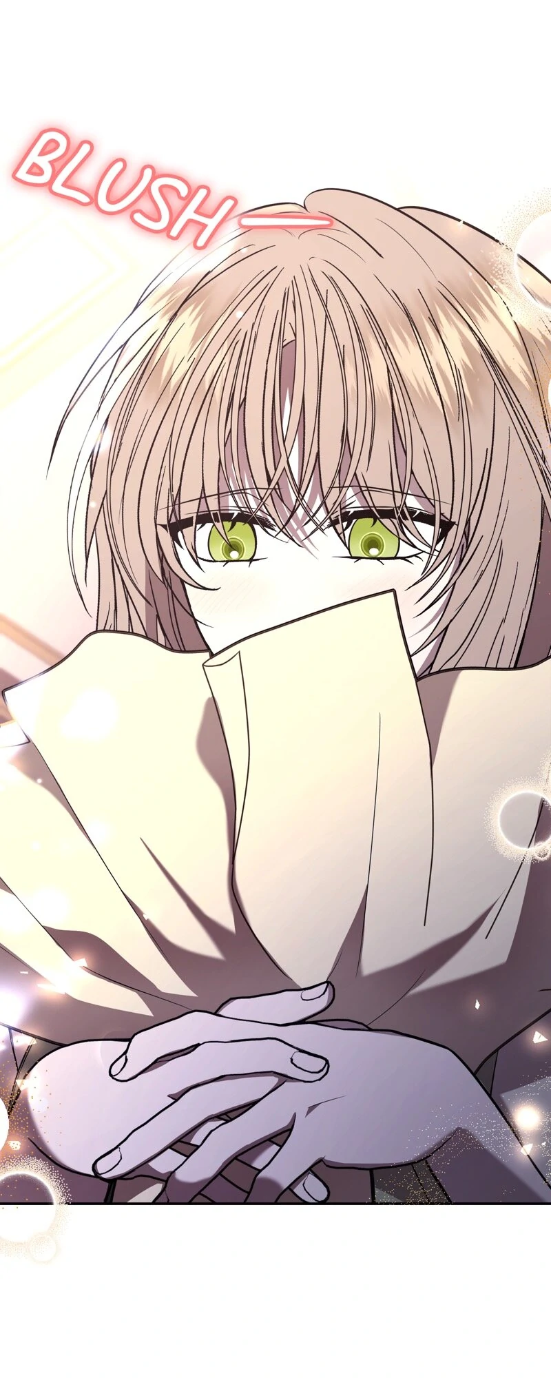 The Handmaiden Dreams at Sunset Chapter 68 209 01