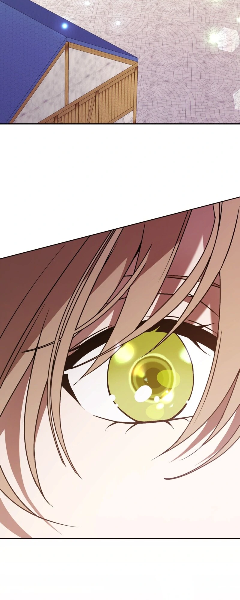 The Handmaiden Dreams at Sunset Chapter 70 313 63