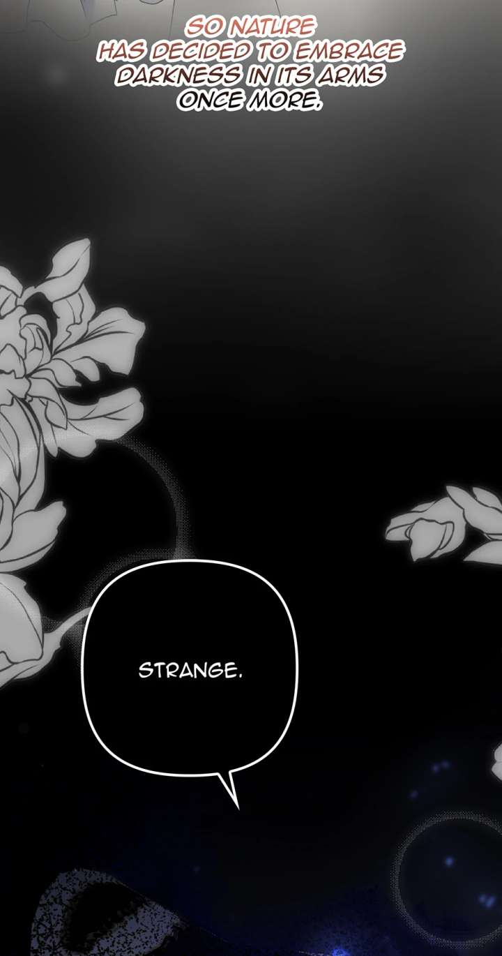 The Hero Went Crazy Even Though I’m the One Who Died Chapter 81 312 56