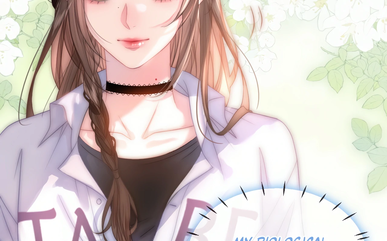 The Lady’s Secret Identity Stuns The City Once More Chapter 1 358 ch 1 87