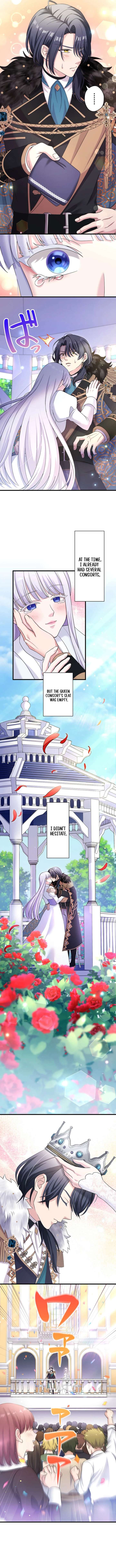 The Legendary Assassin Reincarnated as the Beloved Youngest Daughter of a Royal Family Chapter 64 38 04