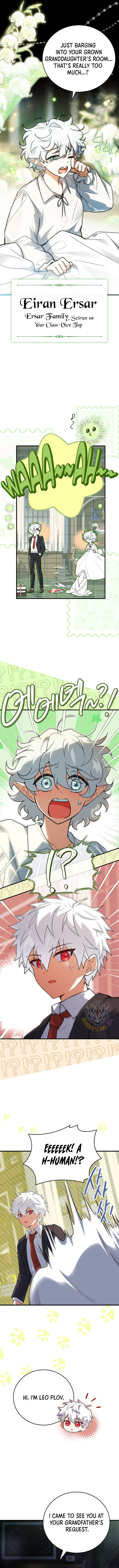 The Legendary Hero is an Academy Honors Student Chapter 39 73 015