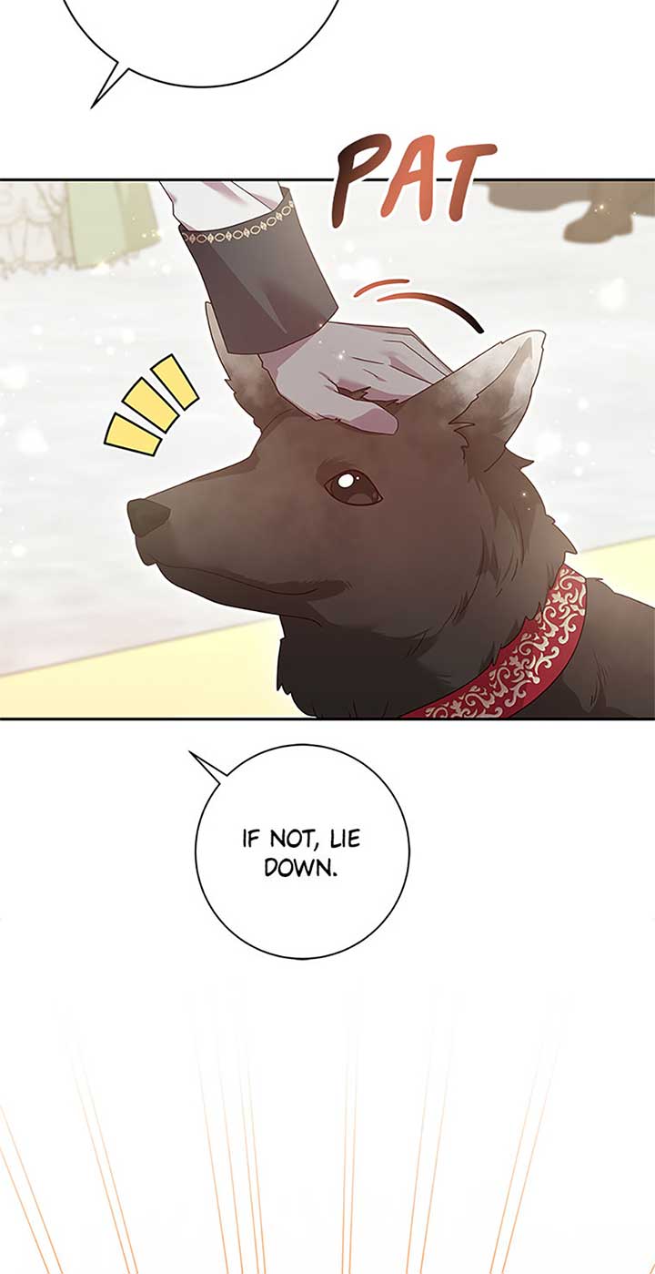 The Life Of An Evil Empress Chapter 58 279 50