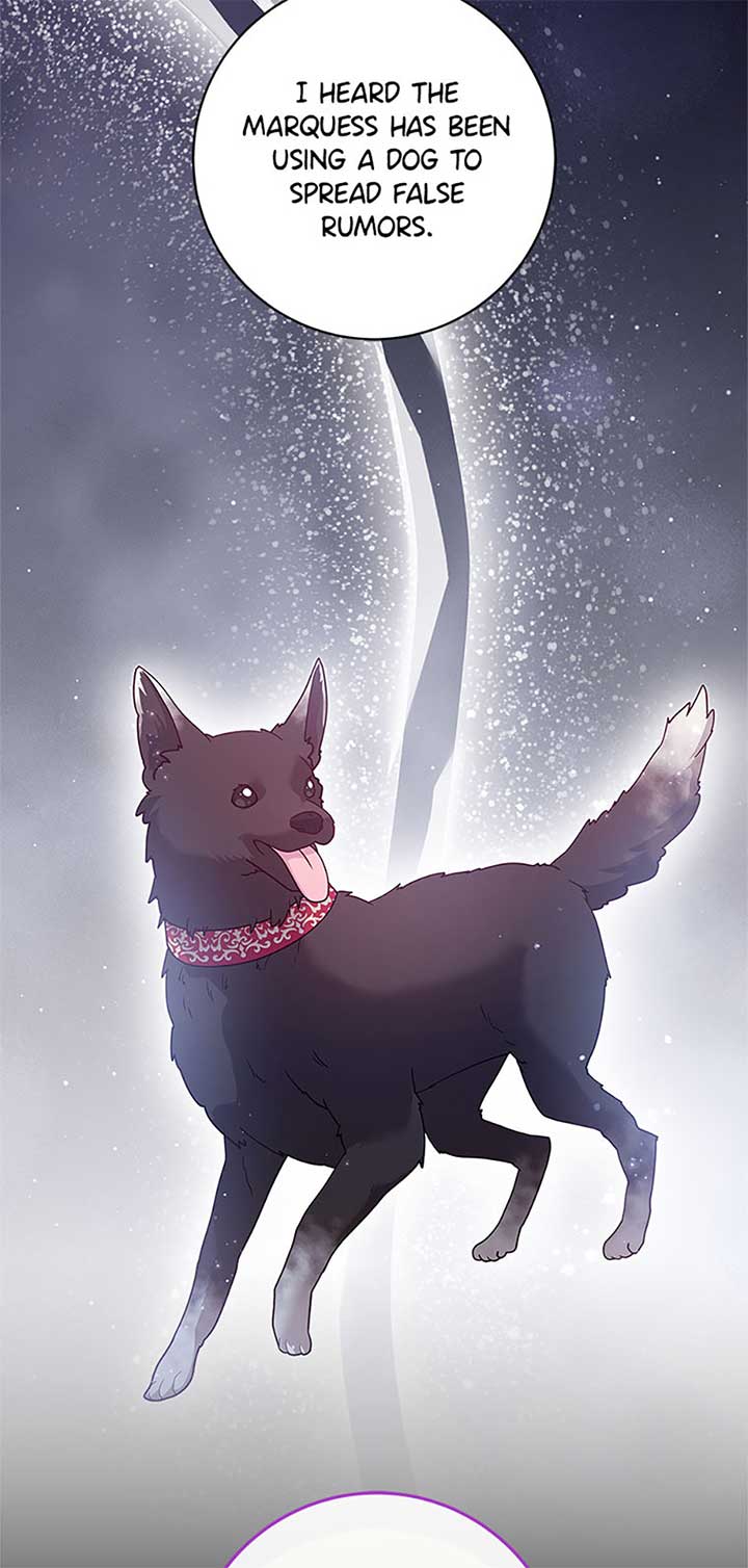 The Life Of An Evil Empress Chapter 60 276 17