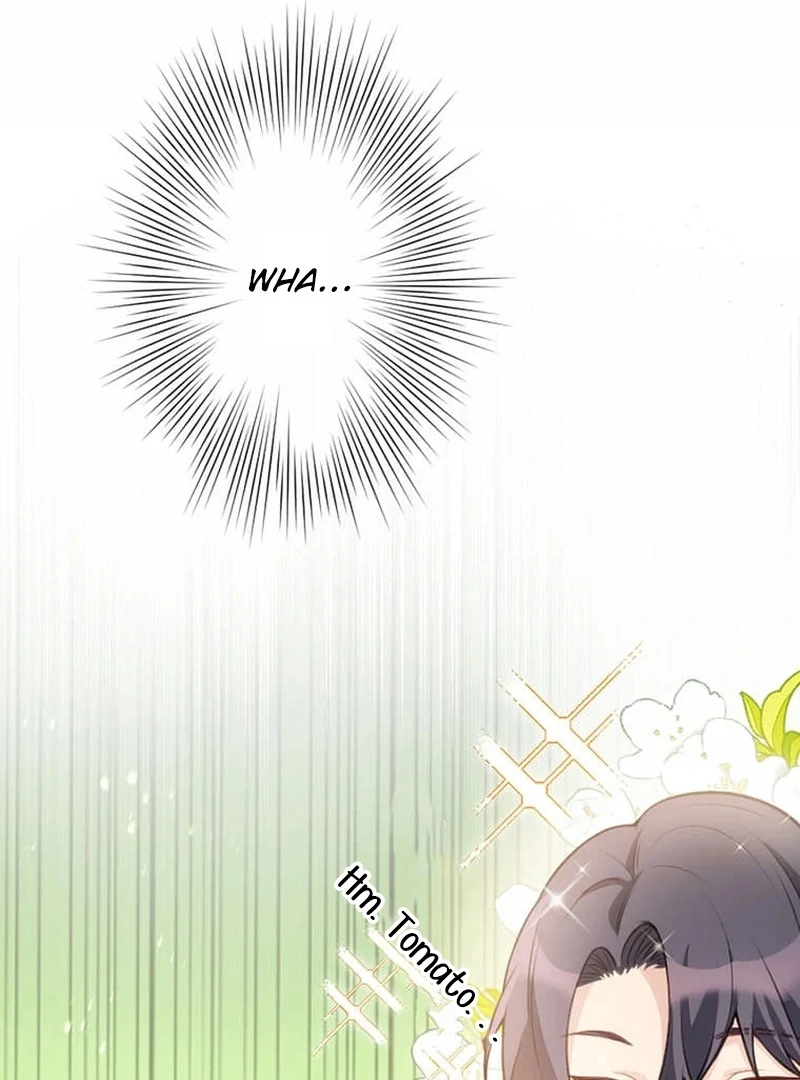 The Loner Girl Who Holds the Heirs’ Fate Chapter 1 730 ch 1 177