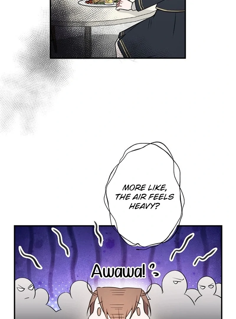 The Loner Girl Who Holds the Heirs’ Fate Chapter 1 627 ch 1 74