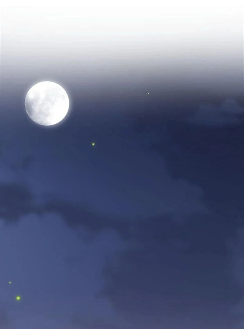 The Loner Girl Who Holds the Heirs’ Fate Chapter 2 556 ch 2 117