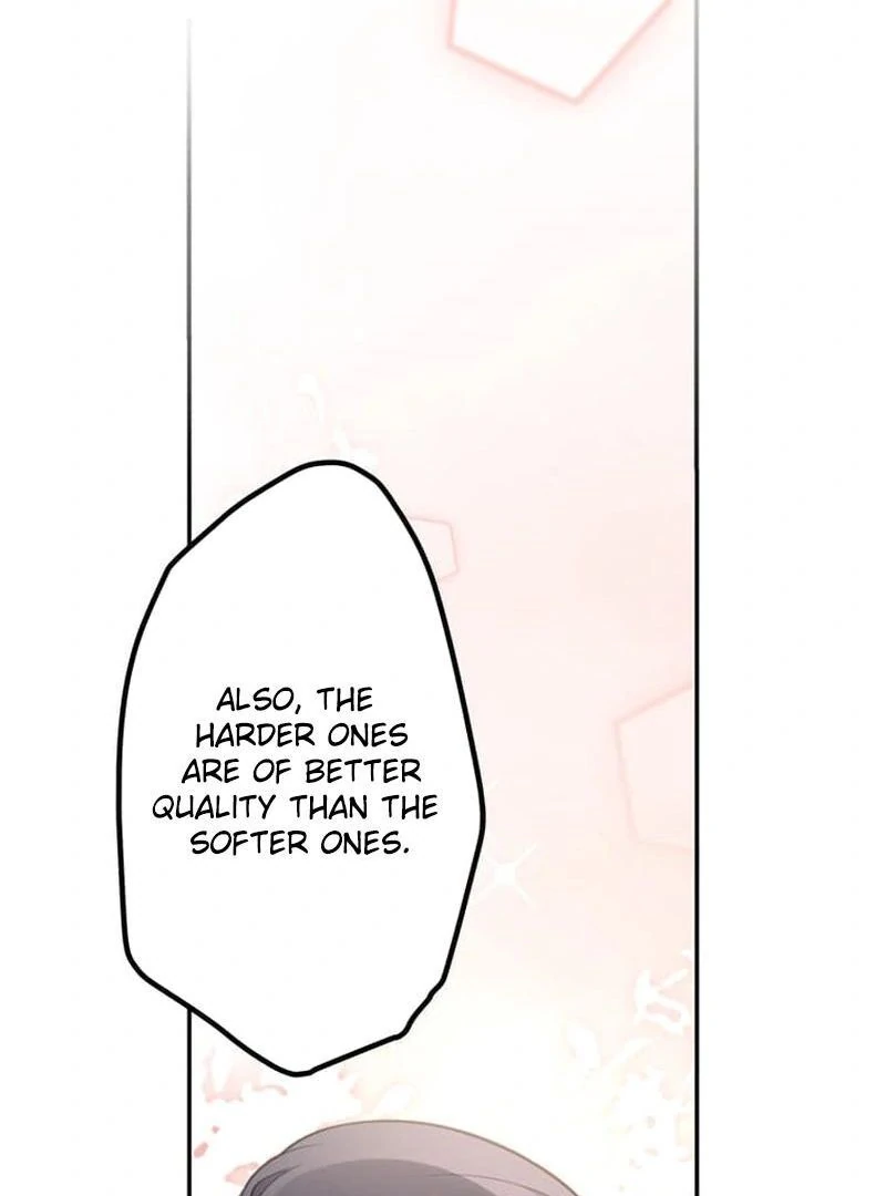 The Loner Girl Who Holds the Heirs’ Fate Chapter 2 461 ch 2 22