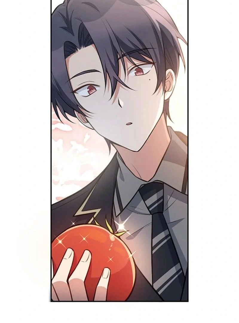 The Loner Girl Who Holds the Heirs’ Fate Chapter 2 462 ch 2 23