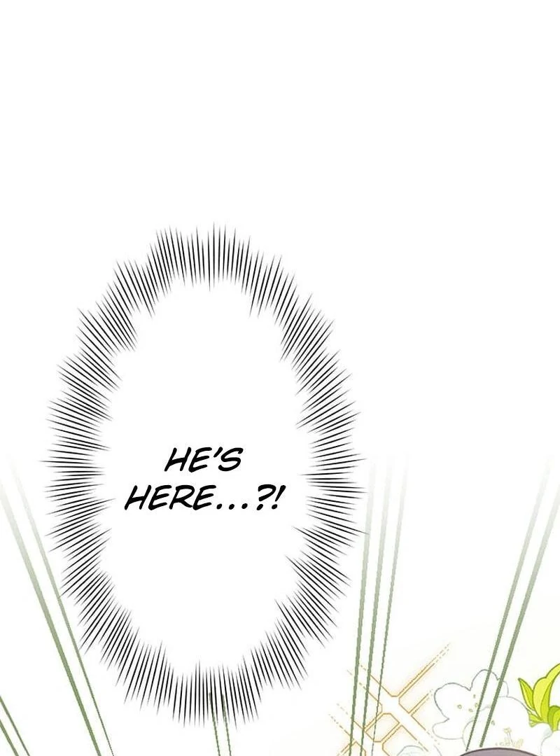 The Loner Girl Who Holds the Heirs’ Fate Chapter 2 442 ch 2 3