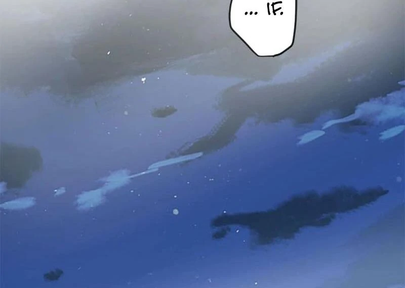 The Loner Girl Who Holds the Heirs’ Fate Chapter 2 477 ch 2 38