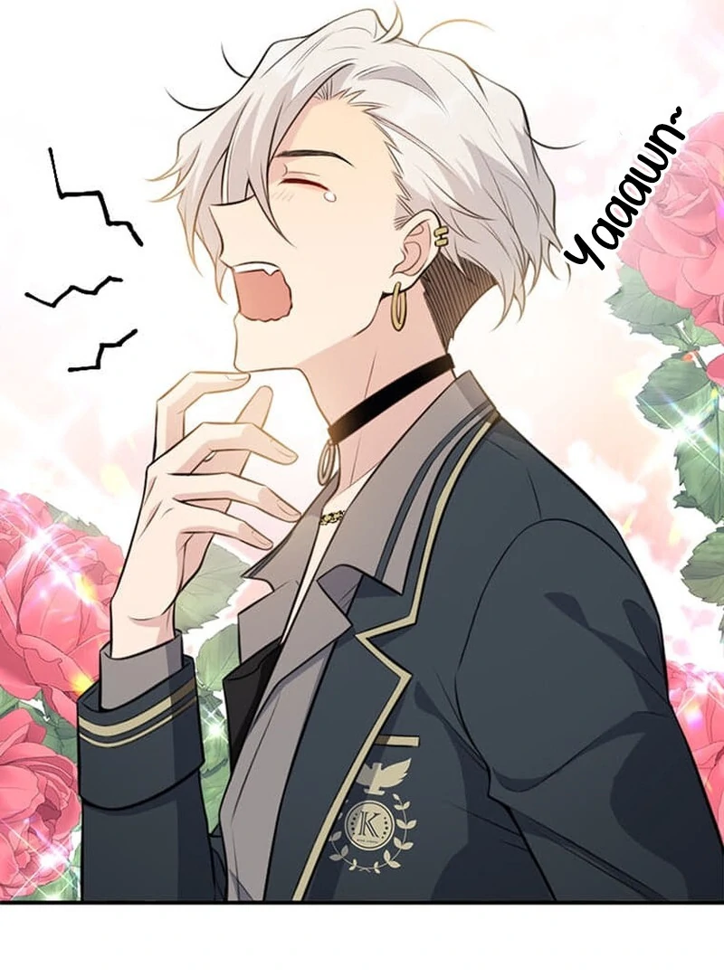 The Loner Girl Who Holds the Heirs’ Fate Chapter 3 364 ch 3 18