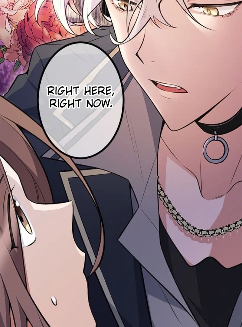 The Loner Girl Who Holds the Heirs’ Fate Chapter 3 438 ch 3 92