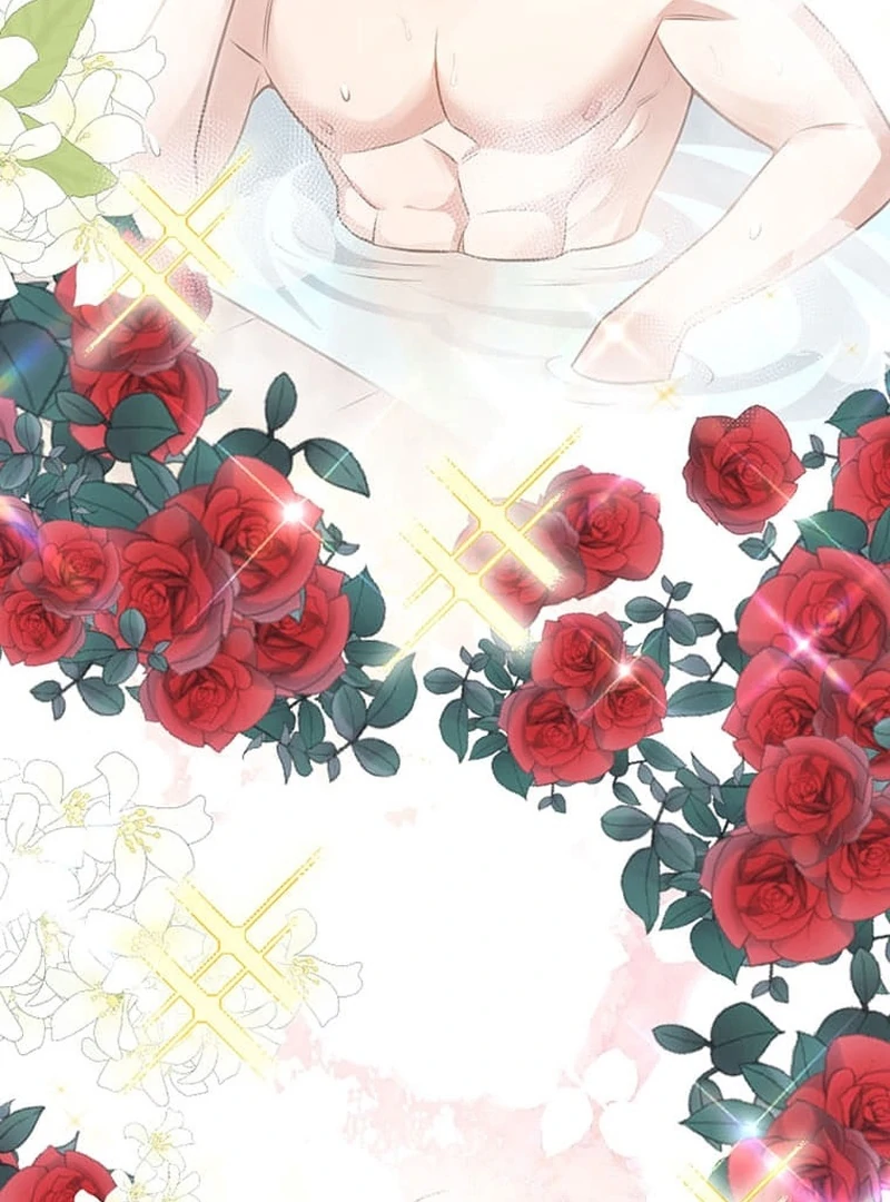 The Loner Girl Who Holds the Heirs’ Fate Chapter 7 507 ch 7 65