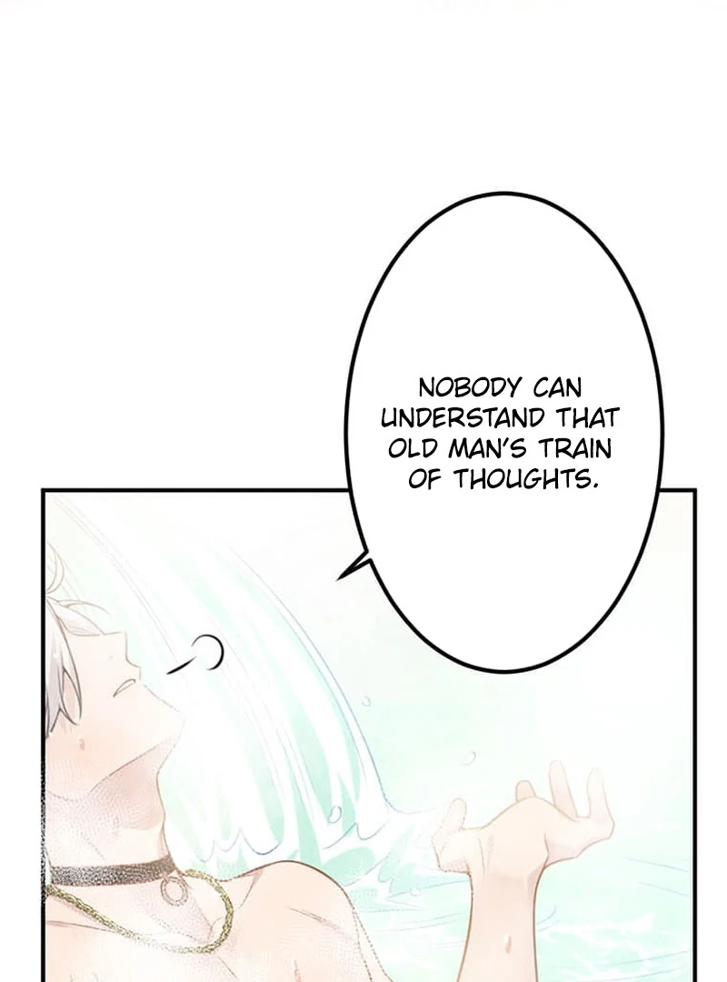 The Loner Girl Who Holds the Heirs’ Fate Chapter 8 548 ch 8 52