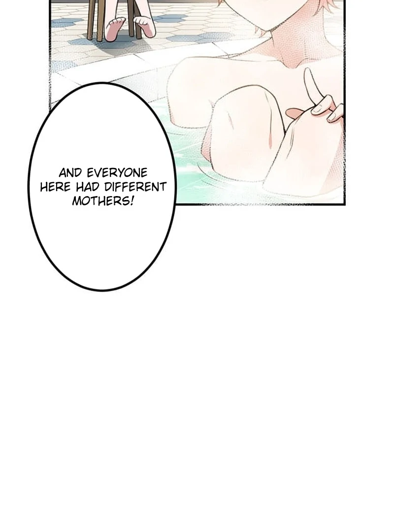 The Loner Girl Who Holds the Heirs’ Fate Chapter 8 553 ch 8 57