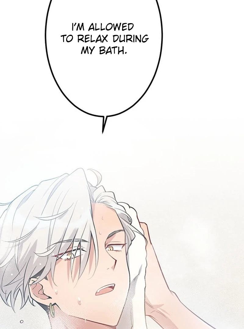 The Loner Girl Who Holds the Heirs’ Fate Chapter 8 504 ch 8 8