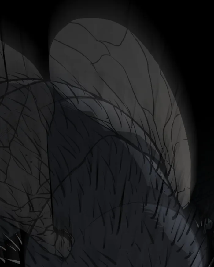 The main character hides his strength Chapter 57 688 123